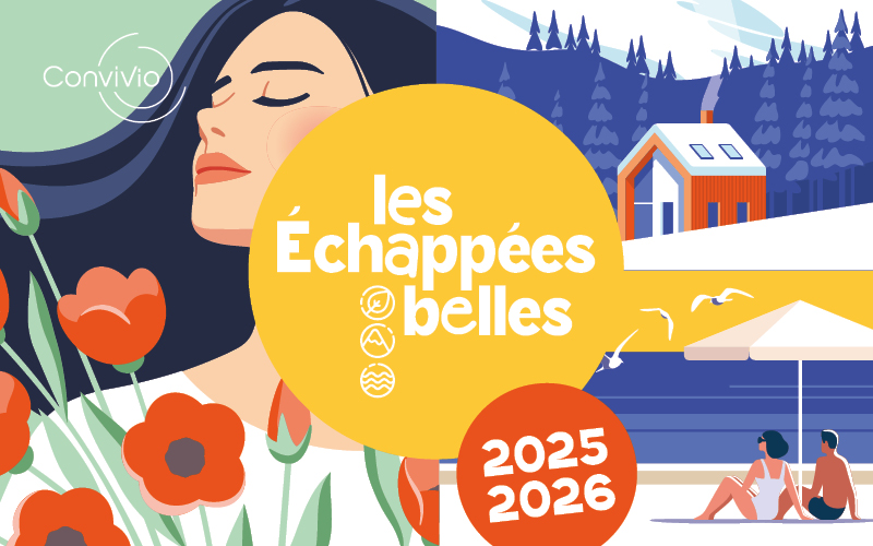 Image de l'article